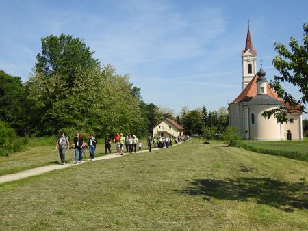 15. tradicionalni pohod Pomlad v prleških goricah 2019 3
